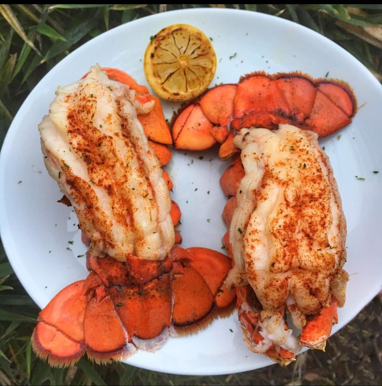 Lobster tail (New).
